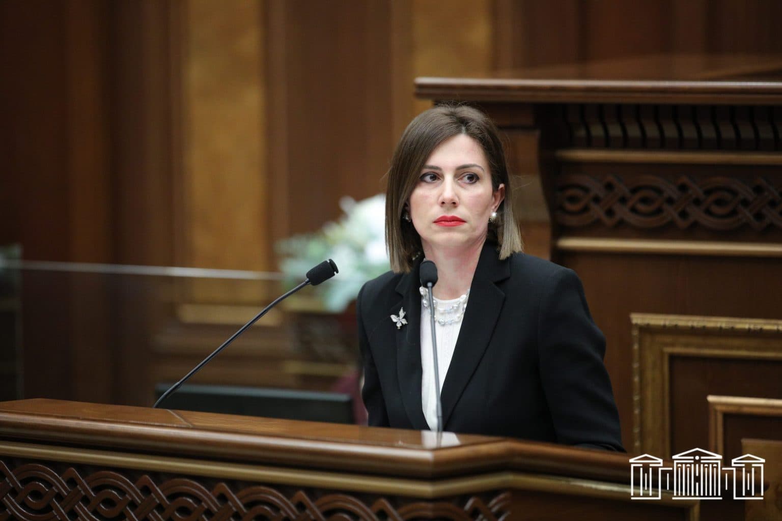 Նոր տարին՝ առողջության պարտադիր ապահովագրումով․ ԱԺ-ն ընդունեց օրինագիծը